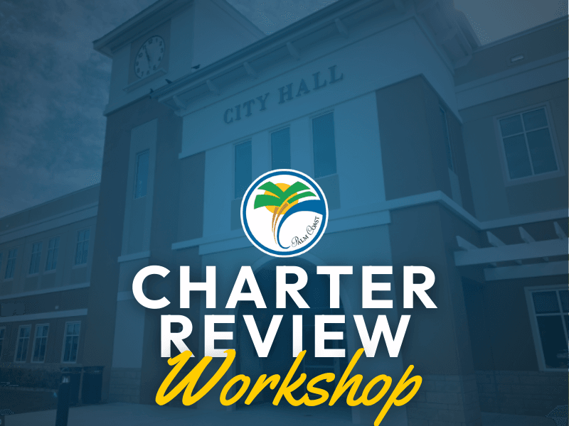 Charter Review Workshop 1