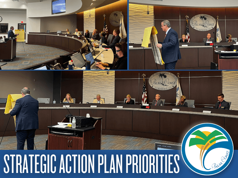 strategic action plan priorities