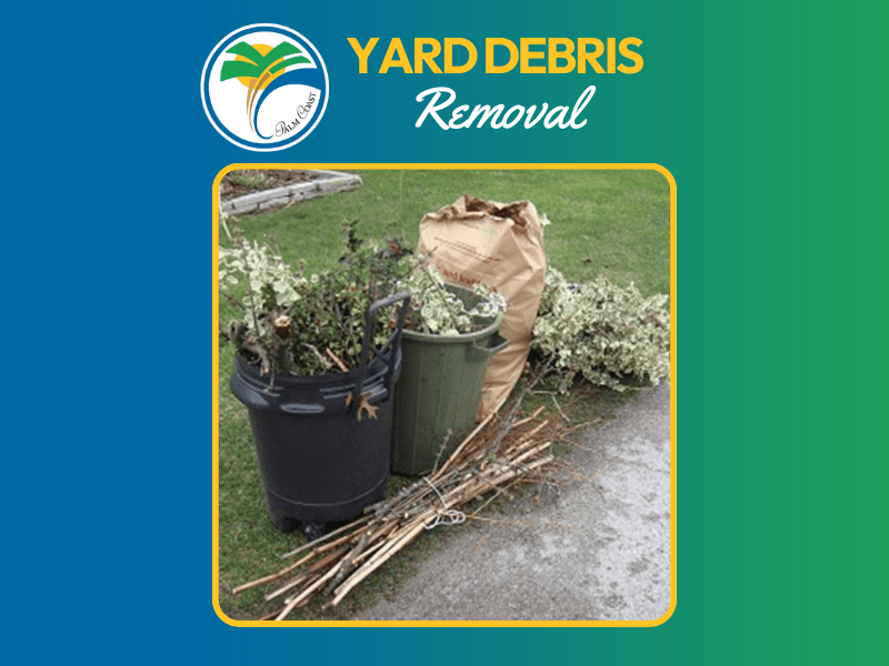 Yard Debris Removal Following Hurricane Helene