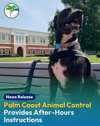 City of Palm Coast Animal Control Provides After-Hours Instructions