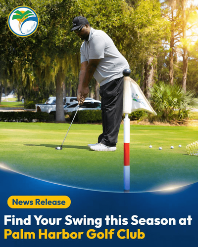 Photo of Golfer Putting at Palm Harbor Golf Club