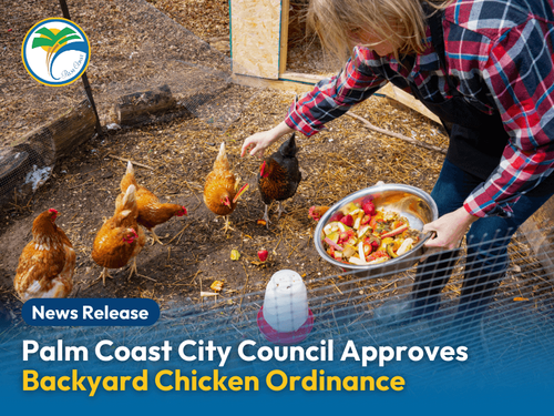 Palm Coast City Council Approves Backyard Chicken Ordinance