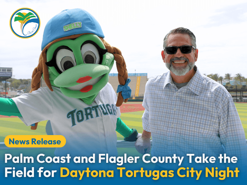 PC Tortugas City Nights